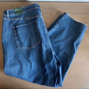 NWT Wild Fable Mom Jeans